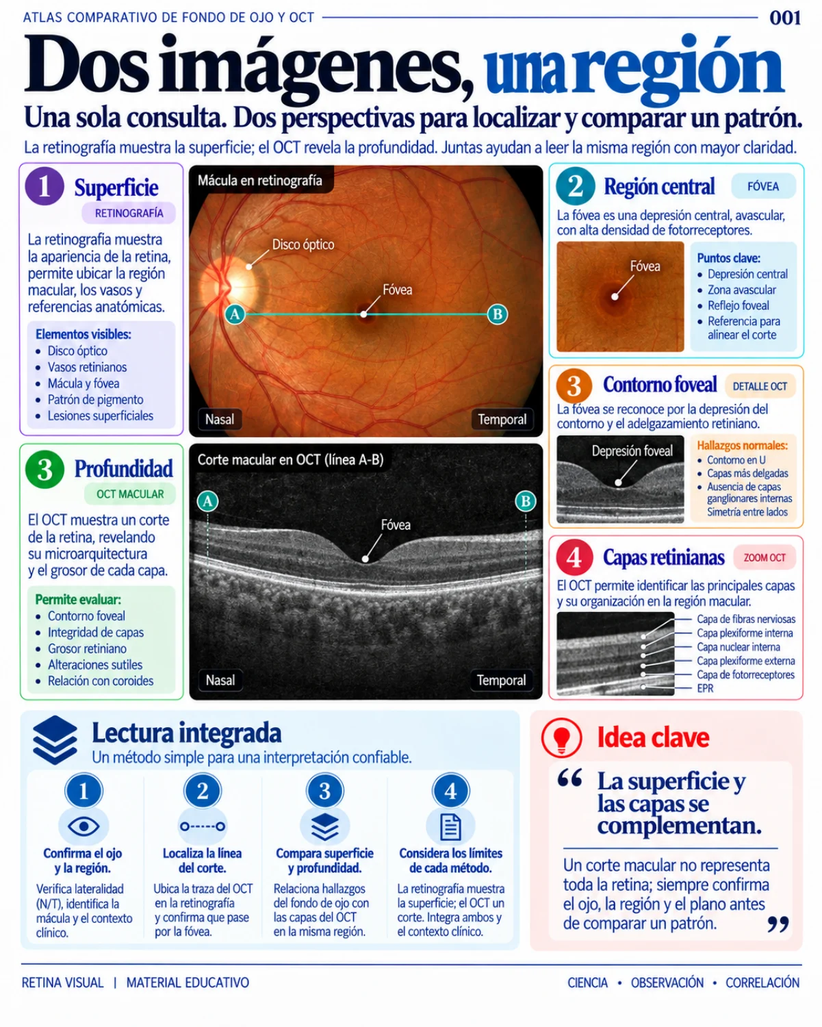 Página original del Atlas Comparativo de Fondo de Ojo y OCT