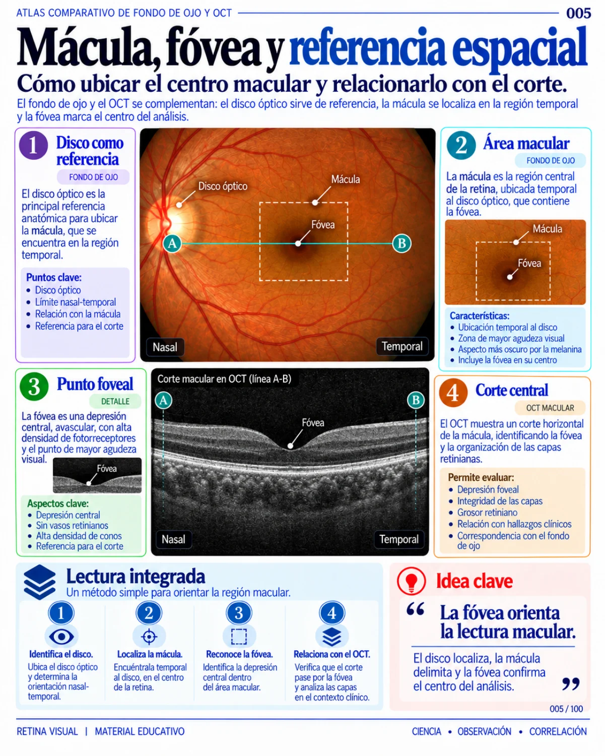 Muestra del material de Retina: Atlas Comparativo · página 5.