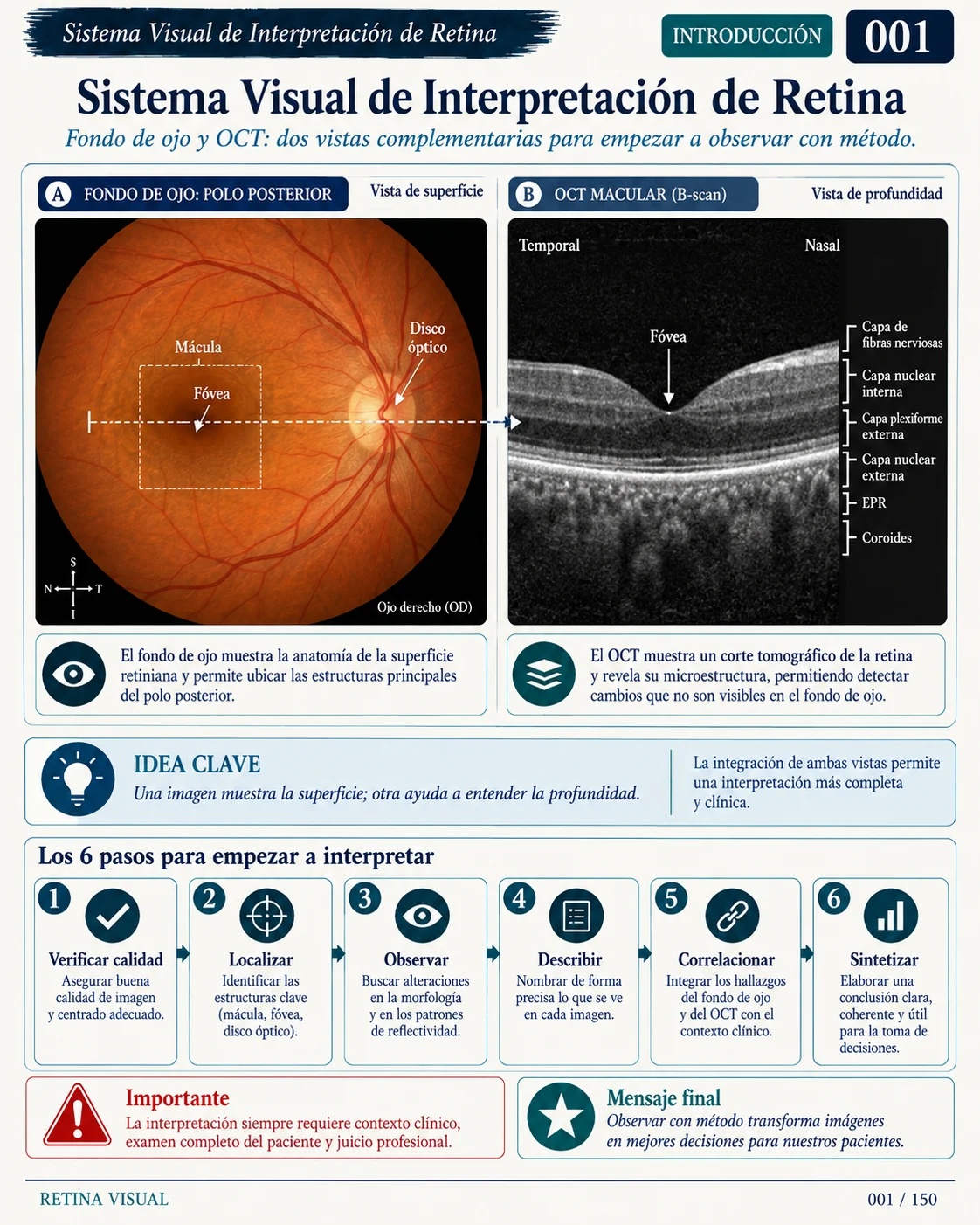 Muestra del material de Retina: Sistema Visual · muestra 1.