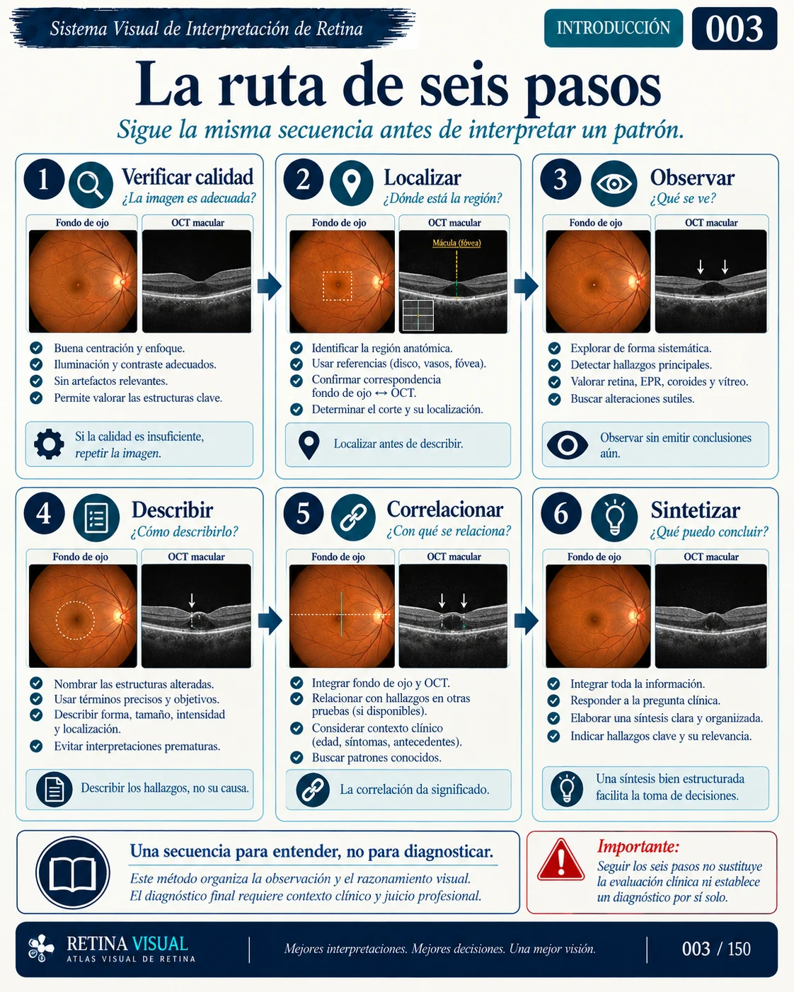 Muestra del material de Retina: Sistema Visual · muestra 3.