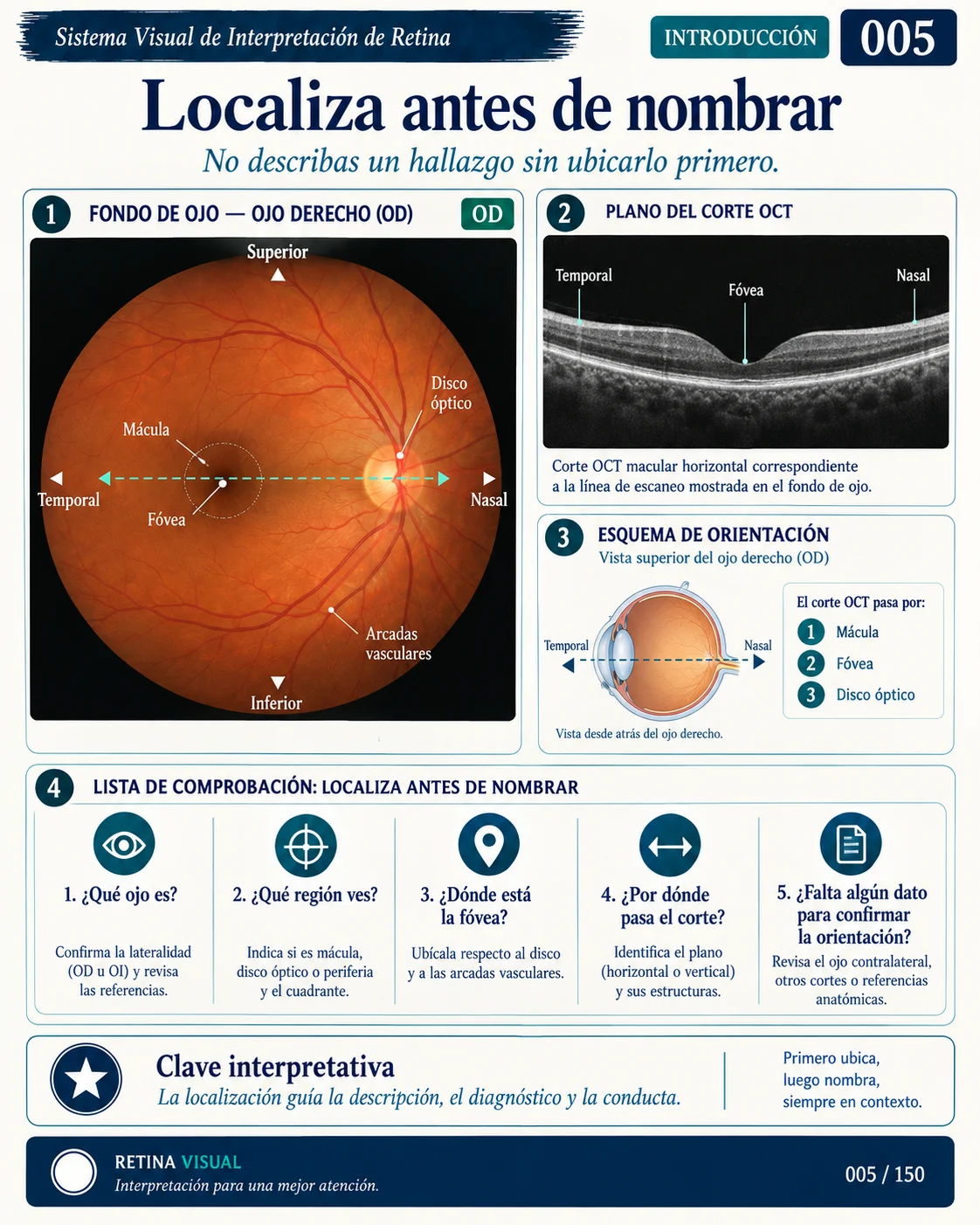 Muestra del material de Retina: Sistema Visual · muestra 5.
