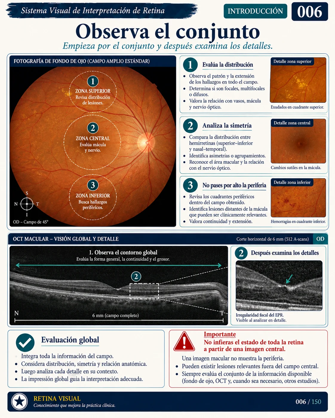 Muestra del material de Retina: Sistema Visual · muestra 6.