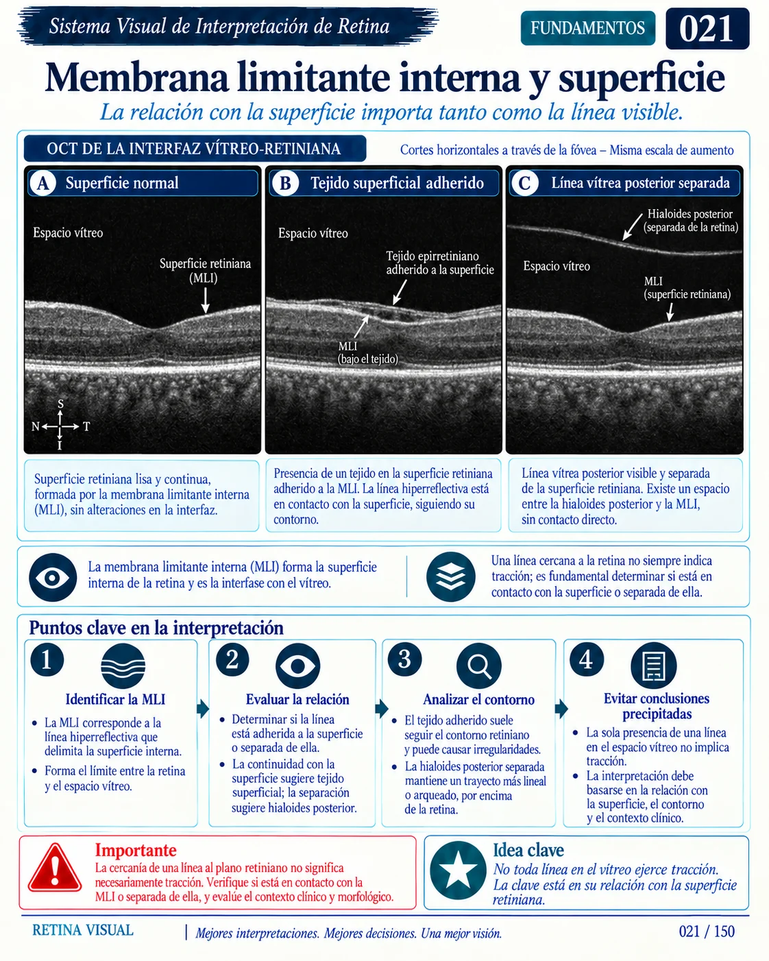 Muestra del material de Retina: Sistema Visual · muestra 8.